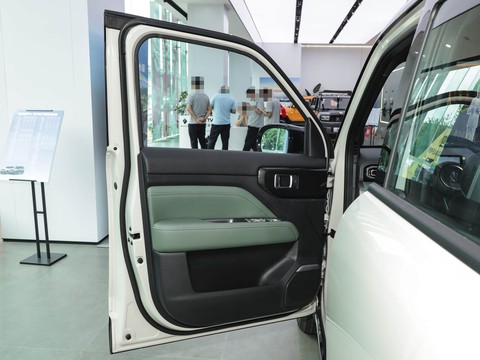 Baojun Yueye Plus — China electric EV for export — photo 11