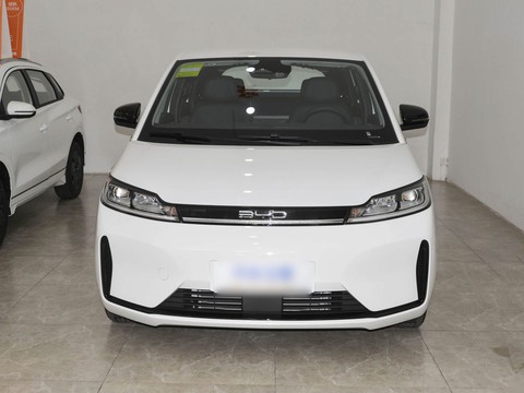 BYD D1 — China electric EV for export — photo 2