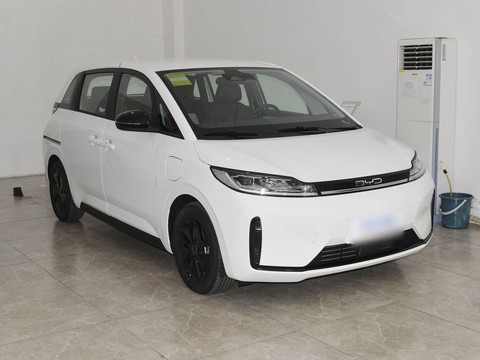 BYD D1 — China electric EV for export — photo 3