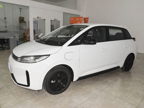 BYD D1 — China electric EV for export — photo 4