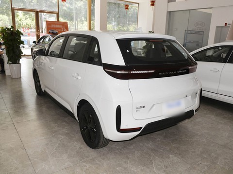 BYD D1 — China electric EV for export — photo 5