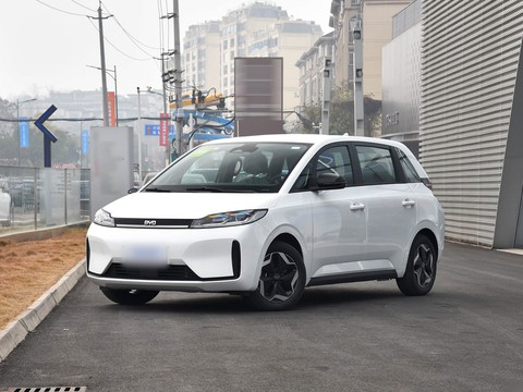 BYD D1 — China electric EV for export — photo 8