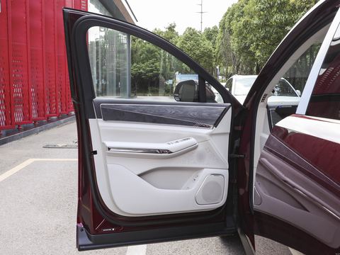 BYD DaTang — China electric EV for export — photo 12