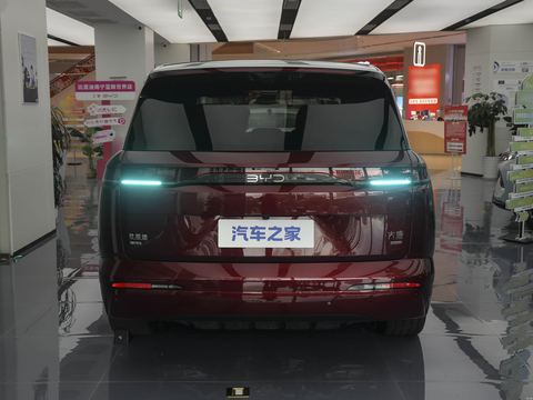 BYD DaTang — China electric EV for export — photo 6