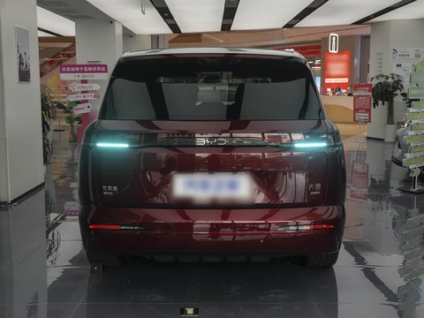 BYD Da Tang — China electric EV for export — photo 6