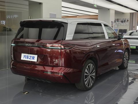 BYD DaTang — China electric EV for export — photo 7