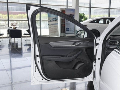 BYD Destroyer 05 — China electric EV for export — photo 11