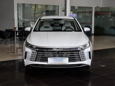 BYD Destroyer 05 — China electric EV for export — photo 2
