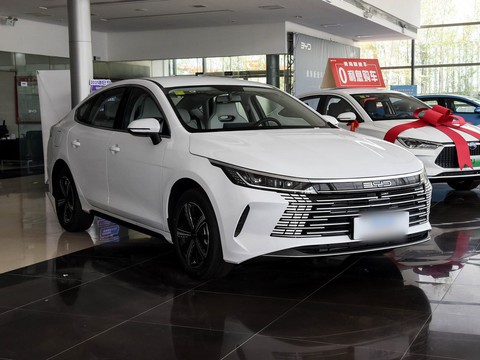 BYD Destroyer 05 — China electric EV for export — photo 3