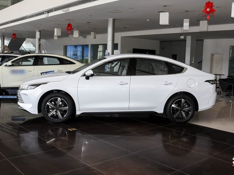 BYD Destroyer 05 — China electric EV for export — photo 4