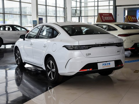 BYD Destroyer 05 — China electric EV for export — photo 5