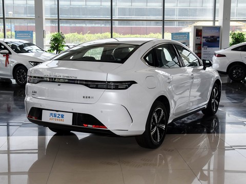 BYD Destroyer 05 — China electric EV for export — photo 7