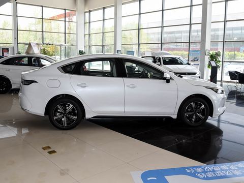 BYD Destroyer 05 — China electric EV for export — photo 8