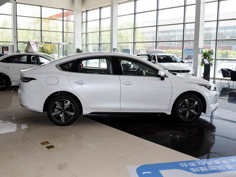 BYD Destroyer 05 — China electric EV for export — photo 8