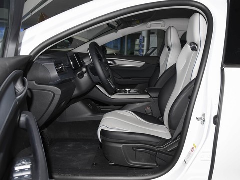 BYD Destroyer 05 — China electric EV for export — photo 9