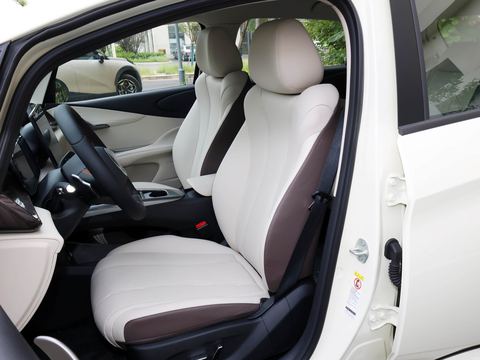 BYD Dolphin — China electric EV for export — photo 10