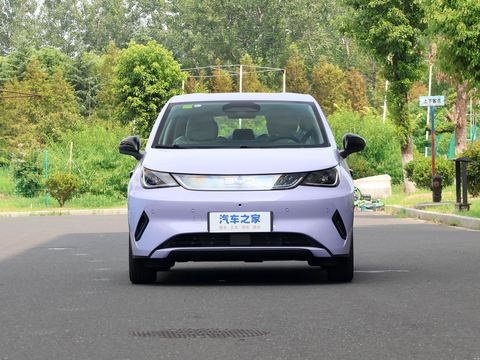 BYD Dolphin — China electric EV for export — photo 2