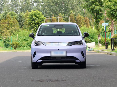 BYD Dolphin — China electric EV for export — photo 2
