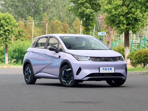 BYD Dolphin — China electric EV for export — photo 3