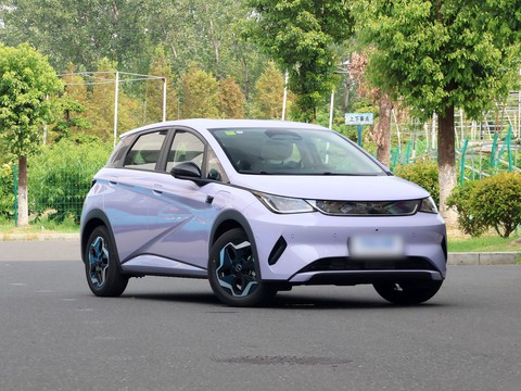 BYD Dolphin — China electric EV for export — photo 3