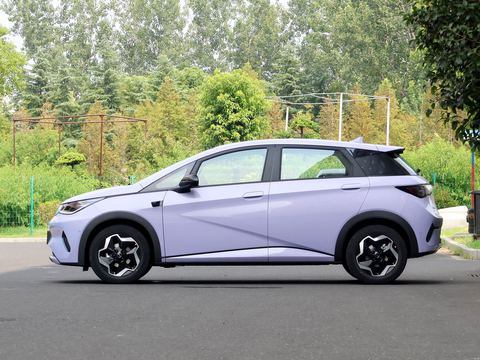 BYD Dolphin — China electric EV for export — photo 4