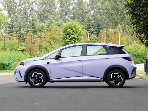 BYD Dolphin — China electric EV for export — photo 4