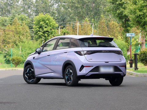 BYD Dolphin — China electric EV for export — photo 5