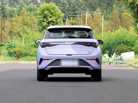 BYD Dolphin — China electric EV for export — photo 6