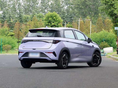 BYD Dolphin — China electric EV for export — photo 7