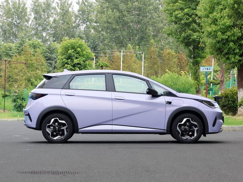 BYD Dolphin — China electric EV for export — photo 8