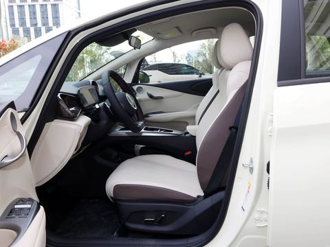 BYD Dolphin — China electric EV for export — photo 9