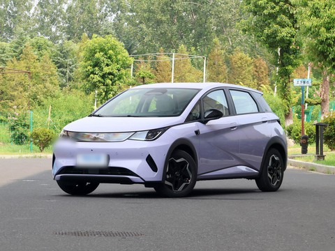 BYD Dolphin — China electric EV for export