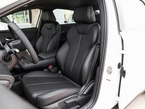 BYD e7 — China electric EV for export — photo 10