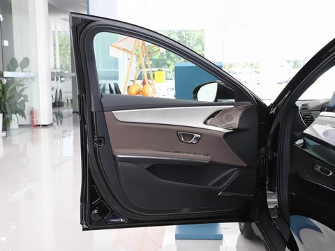 BYD e9 — China electric EV for export — photo 10