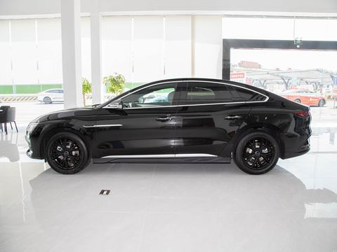 BYD e9 — China electric EV for export — photo 3