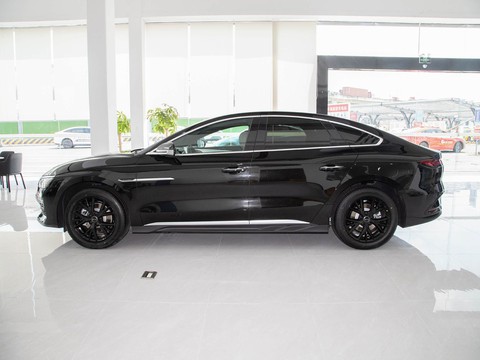 BYD e9 — China electric EV for export — photo 3