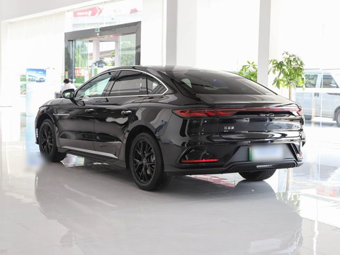 BYD e9 — China electric EV for export — photo 4