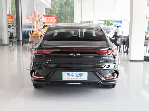 BYD e9 — China electric EV for export — photo 5