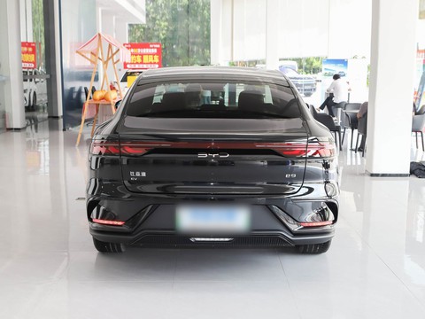 BYD e9 — China electric EV for export — photo 5