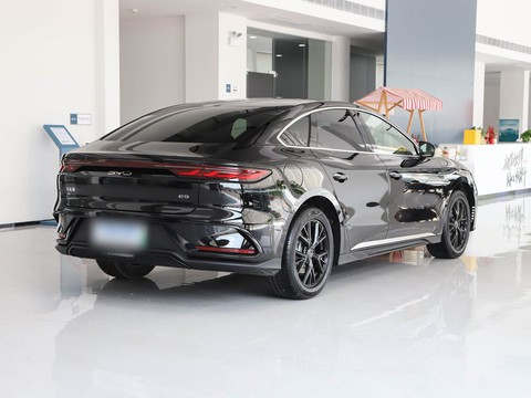 BYD e9 — China electric EV for export — photo 6