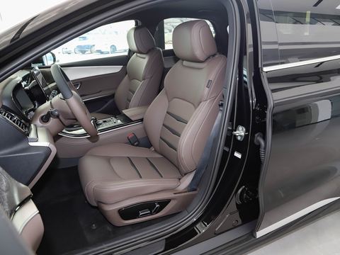 BYD e9 — China electric EV for export — photo 9