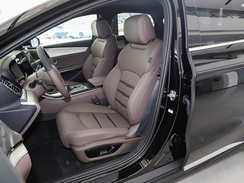 BYD e9 — China electric EV for export — photo 9