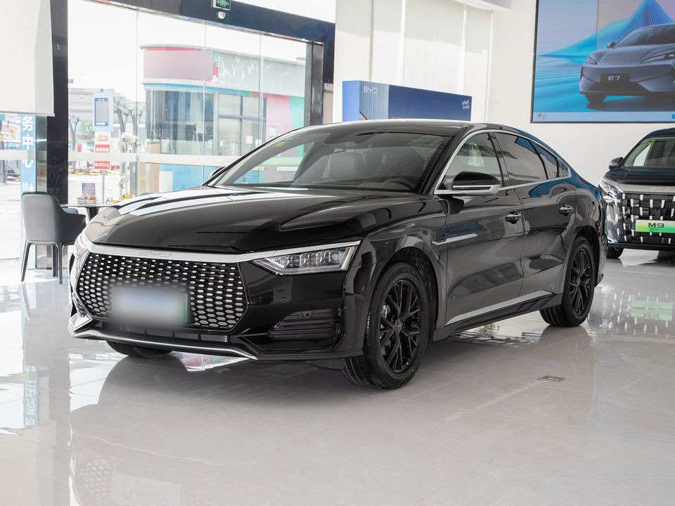 BYD e9 — China electric EV for export