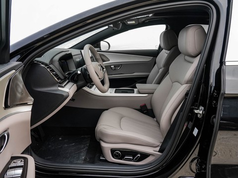 BYD Han — China electric EV for export — photo 9