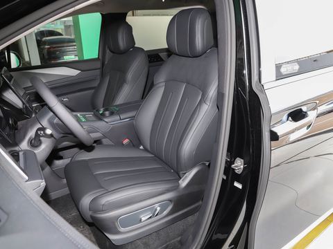 BYD M9 — China electric EV for export — photo 10