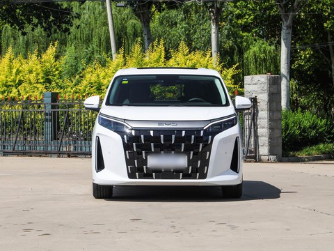 BYD M9 — China electric EV for export — photo 2