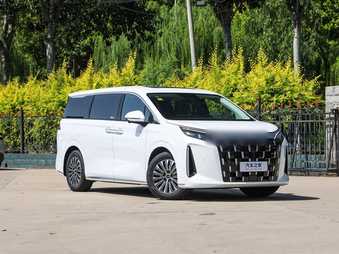 BYD M9 — China electric EV for export — photo 3