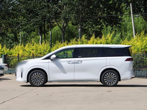 BYD M9 — China electric EV for export — photo 4