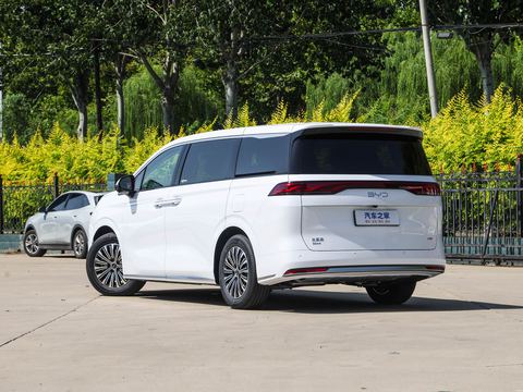 BYD M9 — China electric EV for export — photo 5