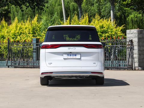 BYD M9 — China electric EV for export — photo 6